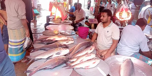 নিষেধাজ্ঞা শেষে মেঘনায় ইলিশের খরা, বাজারও প্রায় ইলিশশূন্য
